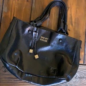 s e e . b y . c h l o e . b a g